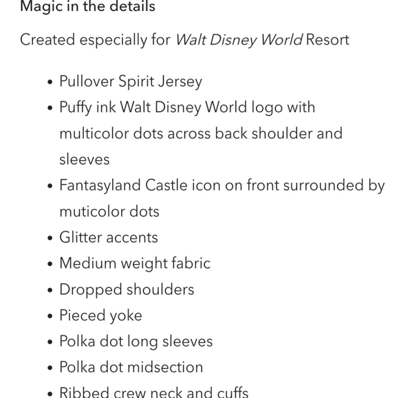 WDW Swearshirt NWT X-Small - Picture 5 of 6